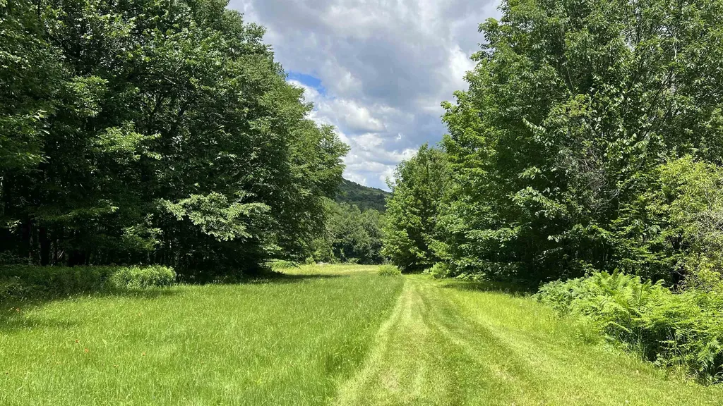 412 Hall Ranch Road Grafton VT 05146