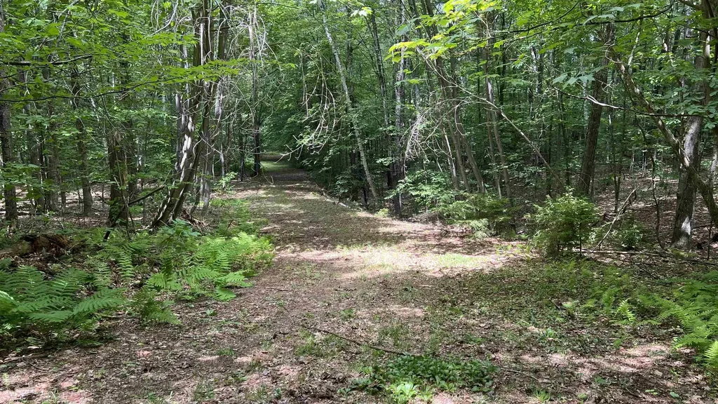 412 Hall Ranch Road Grafton VT 05146