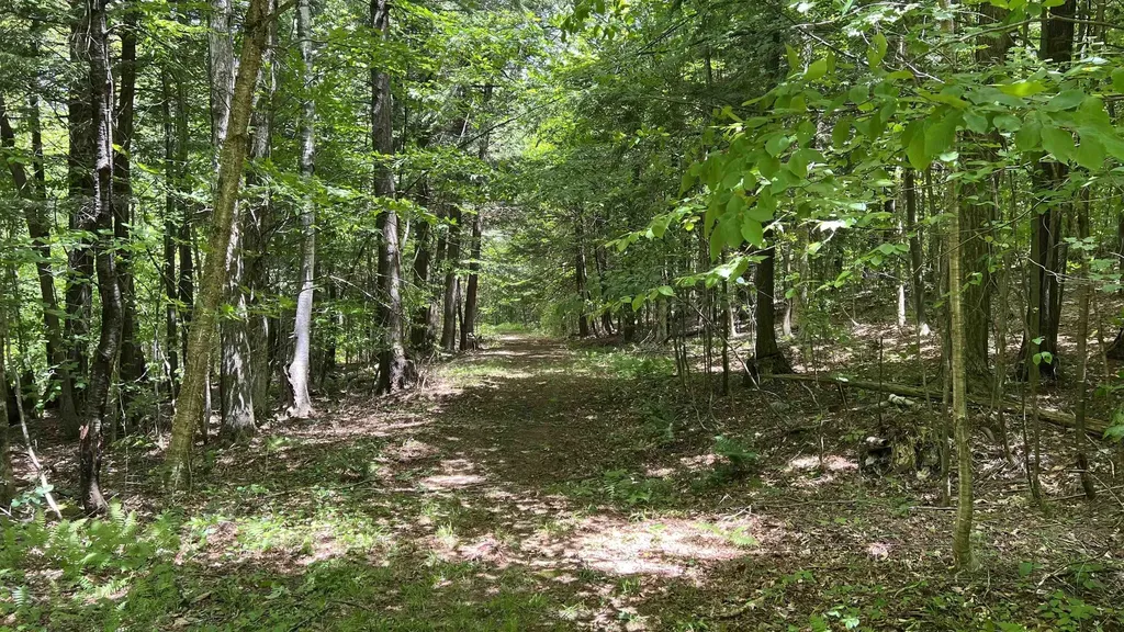 412 Hall Ranch Road Grafton VT 05146