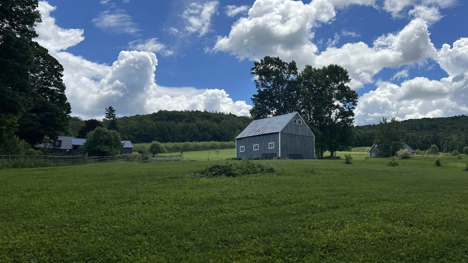 412 Hall Ranch Road Grafton VT 05146