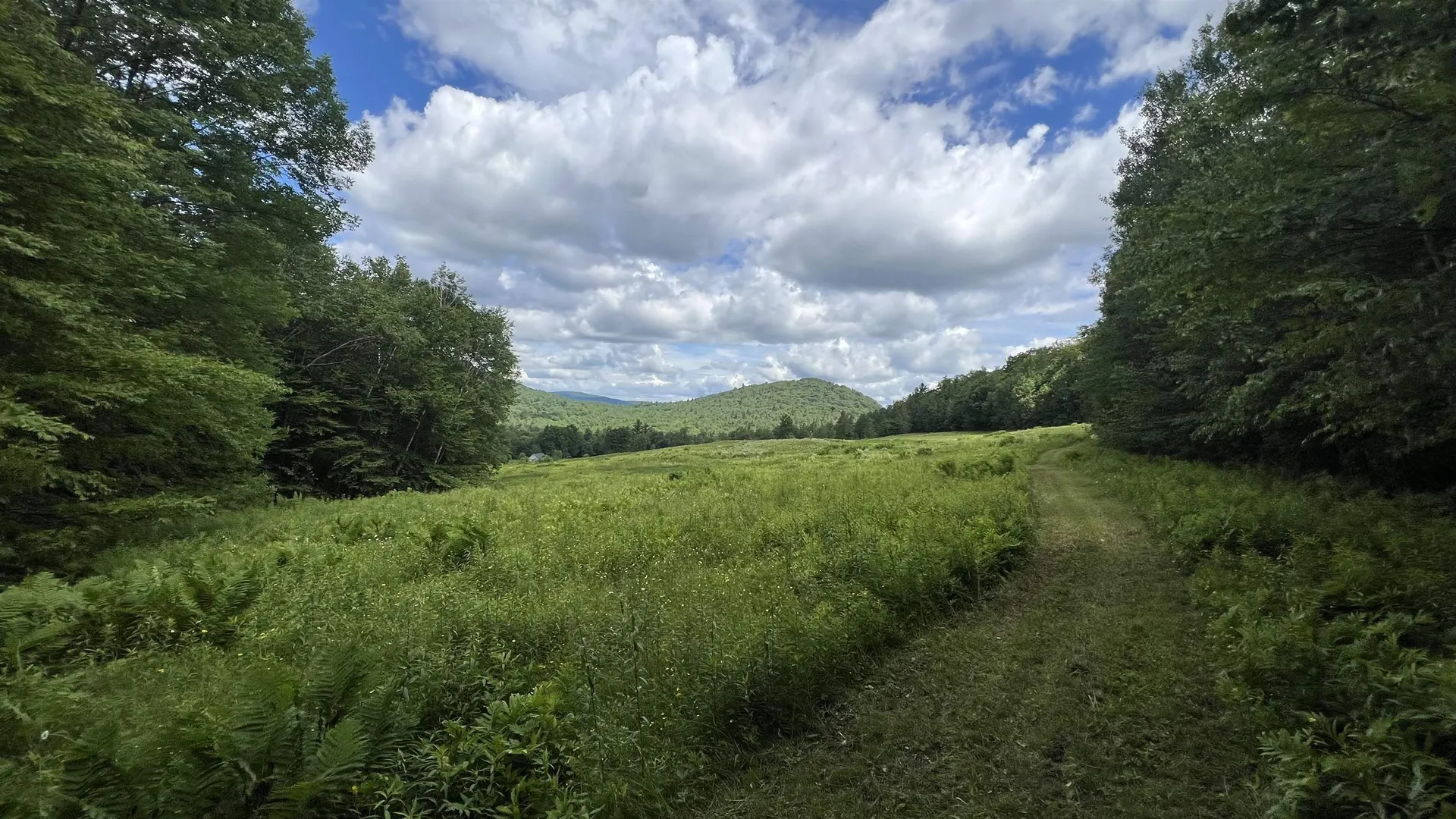 412 Hall Ranch Road Grafton VT 05146