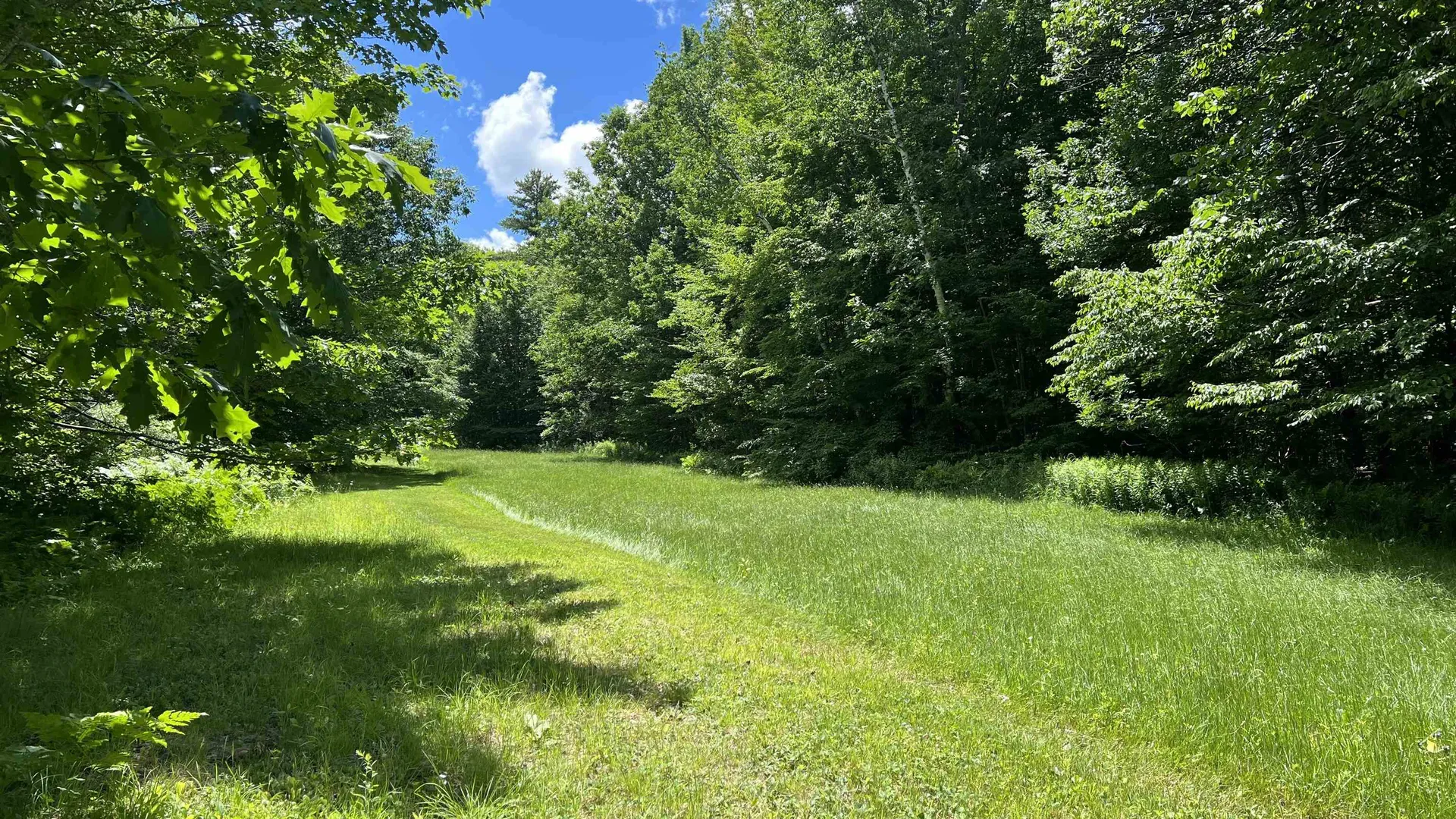 412 Hall Ranch Road Grafton VT 05146
