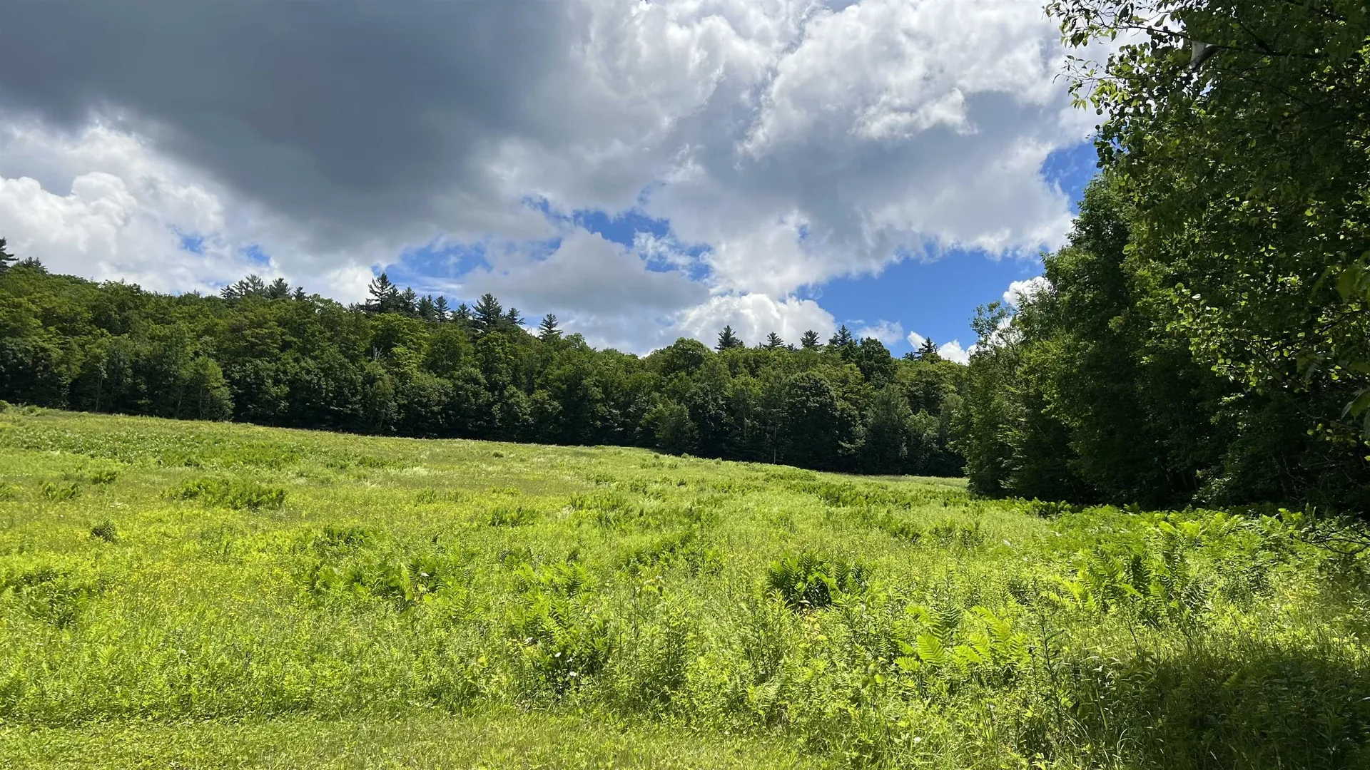 412 Hall Ranch Road Grafton VT 05146