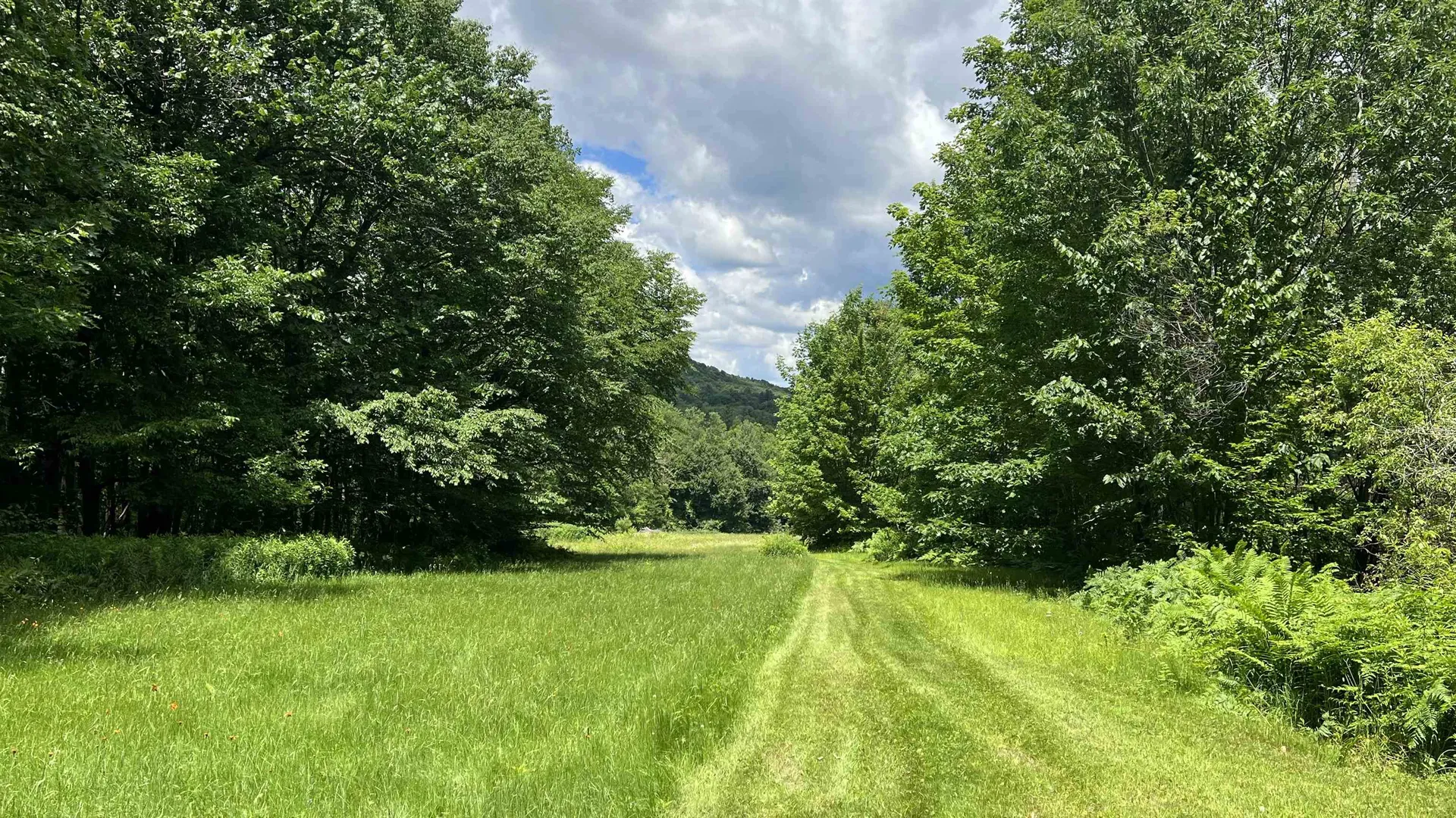 412 Hall Ranch Road Grafton VT 05146