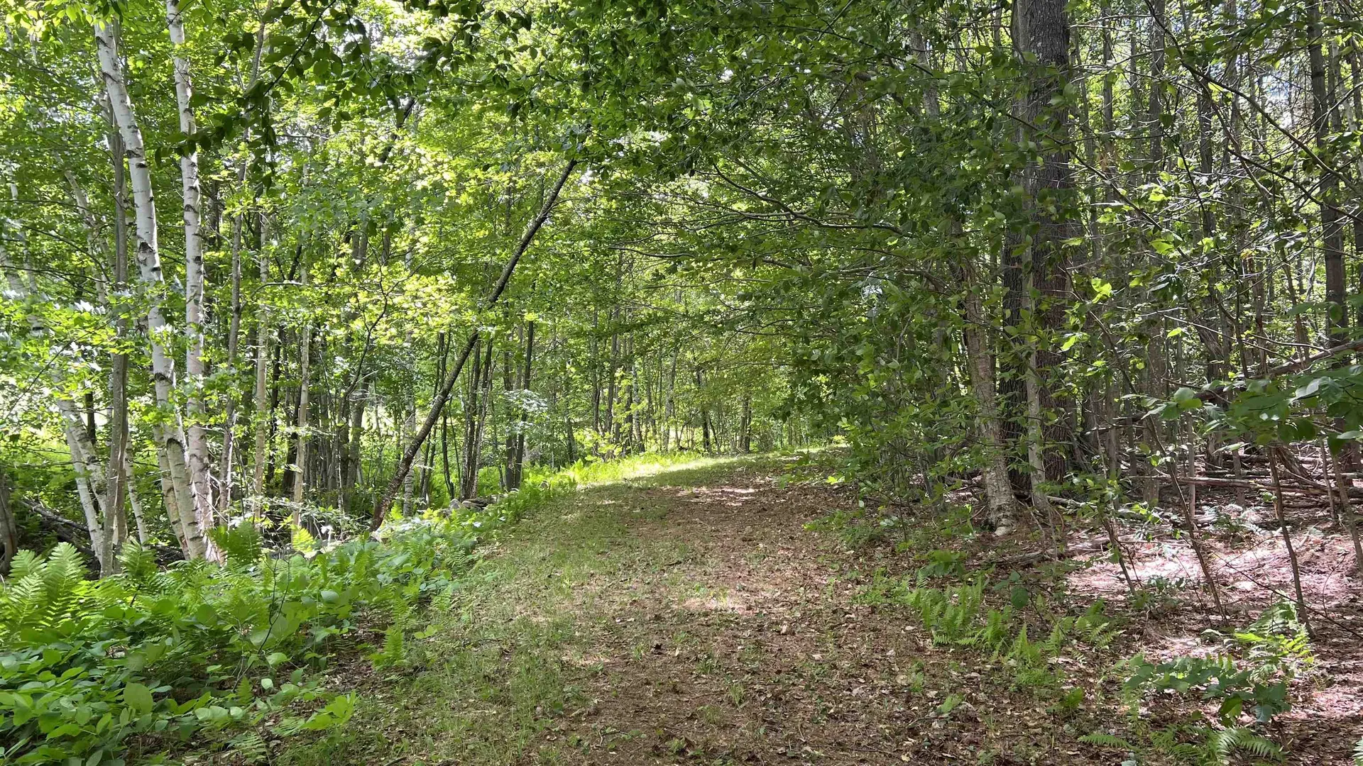 412 Hall Ranch Road Grafton VT 05146