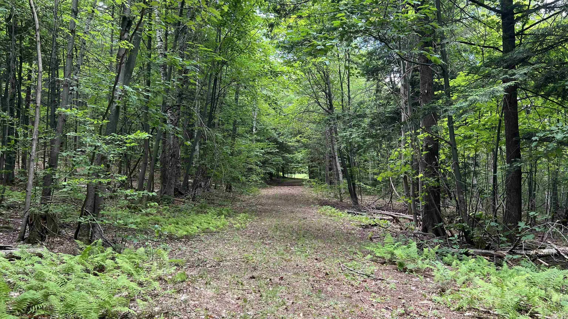412 Hall Ranch Road Grafton VT 05146