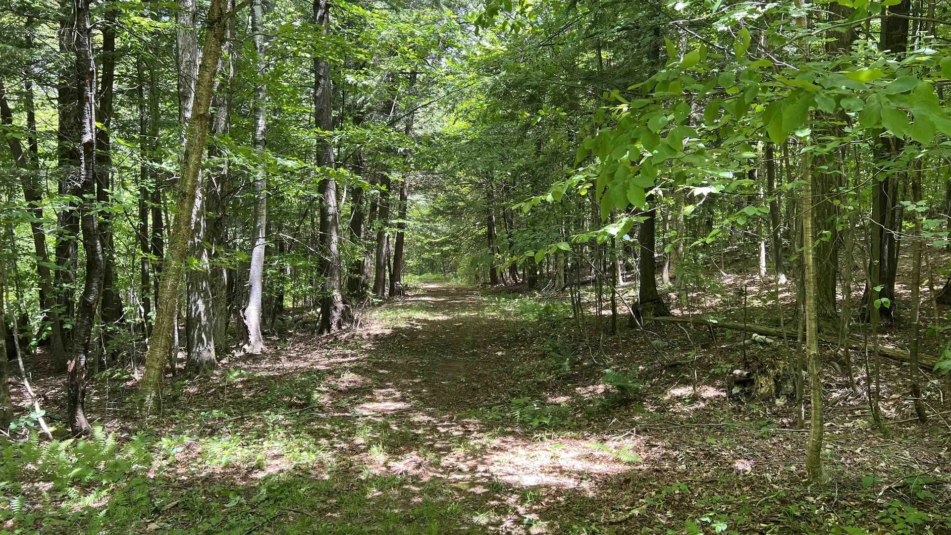 412 Hall Ranch Road Grafton VT 05146