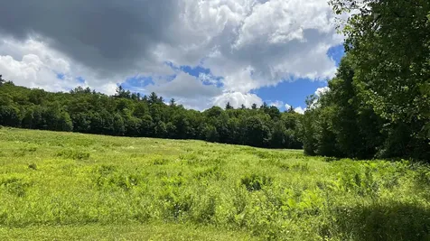 412 Hall Ranch Road Grafton VT 05146