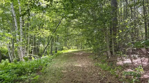 412 Hall Ranch Road Grafton VT 05146