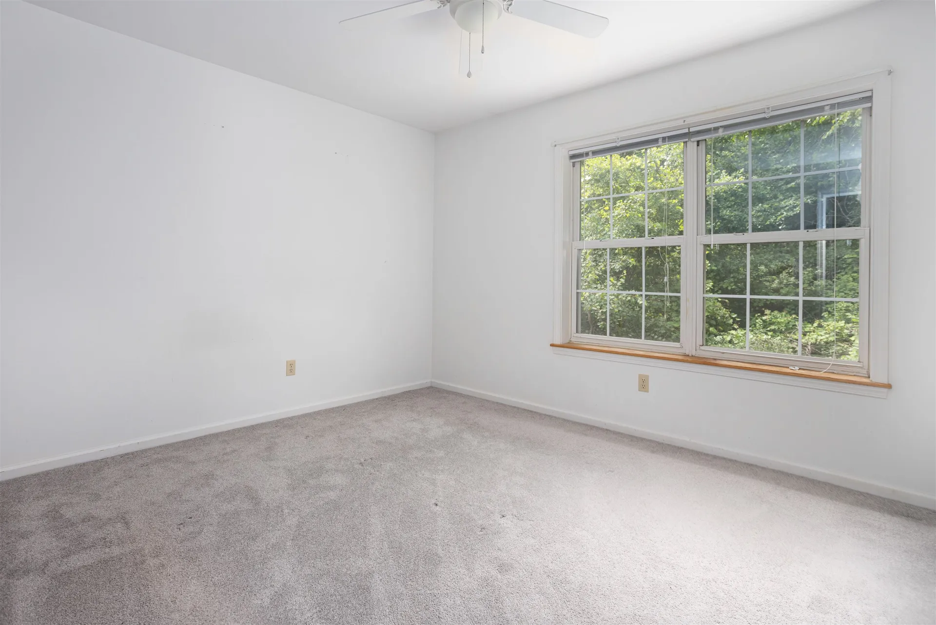 331 Cedar Lane Williston VT 05495