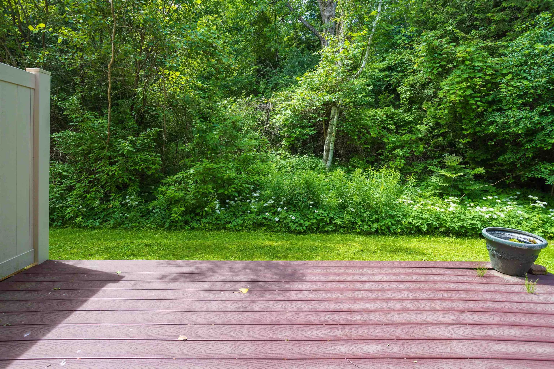 331 Cedar Lane Williston VT 05495