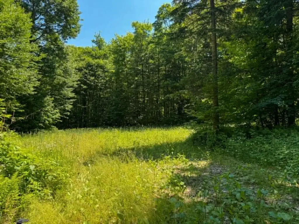 801 Red Schoolhouse Road Wheelock VT 05851