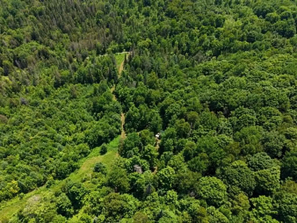 801 Red Schoolhouse Road Wheelock VT 05851