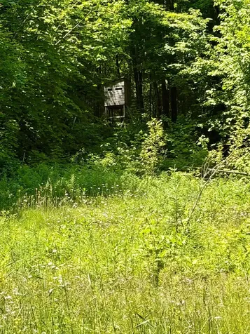 801 Red Schoolhouse Road Wheelock VT 05851