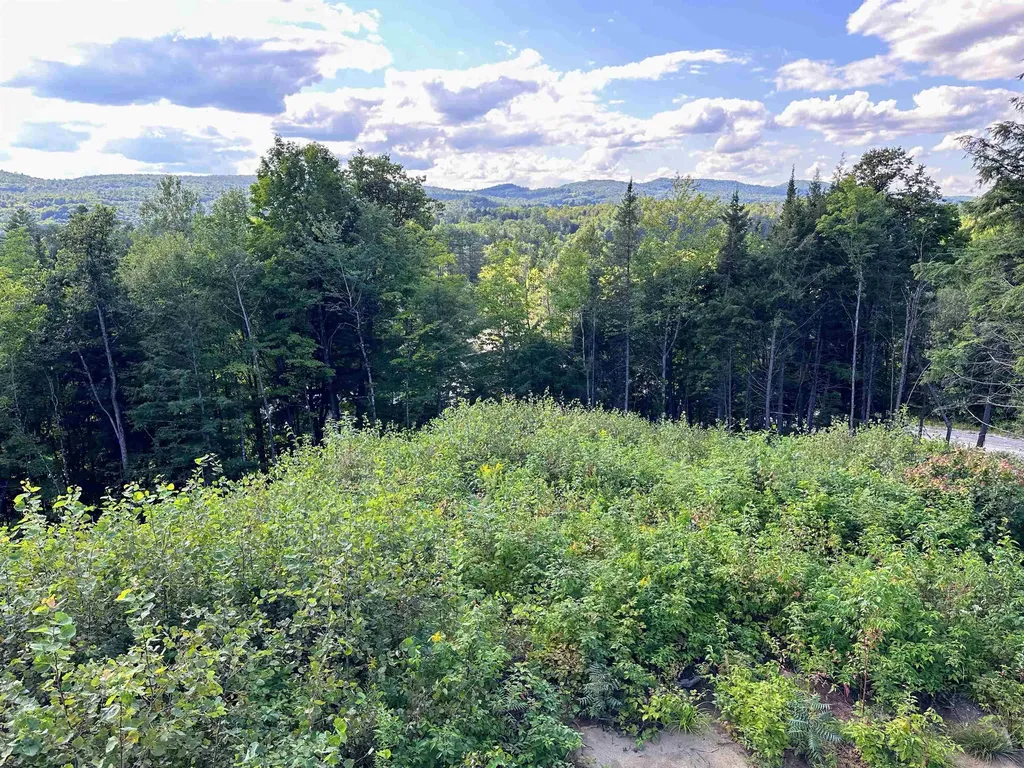702 Mount Pisgah Road St. Johnsbury VT 05819-0615