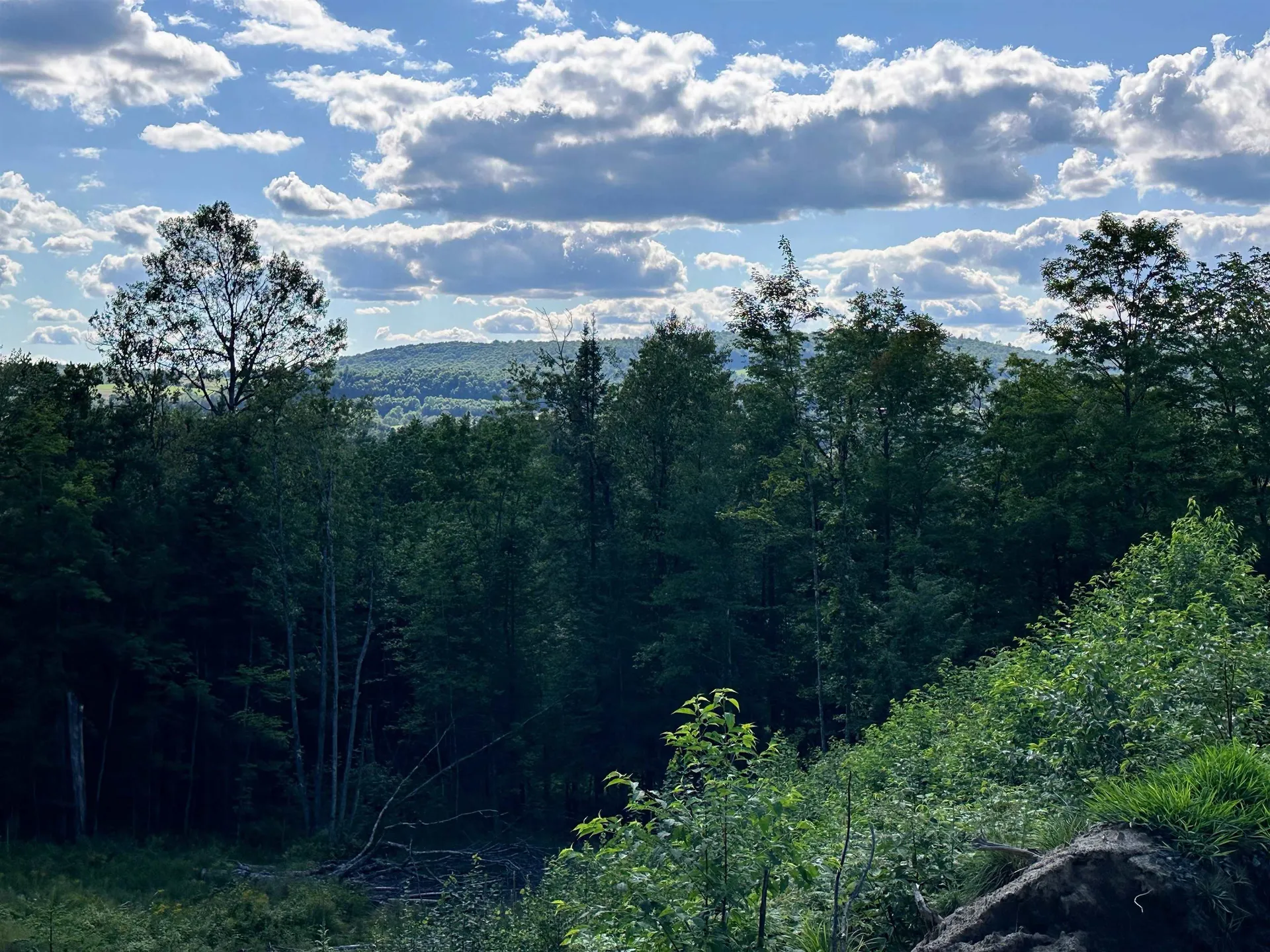 702 Mount Pisgah Road St. Johnsbury VT 05819-0615