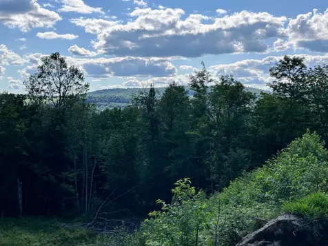 702 Mount Pisgah Road St. Johnsbury VT 05819-0615