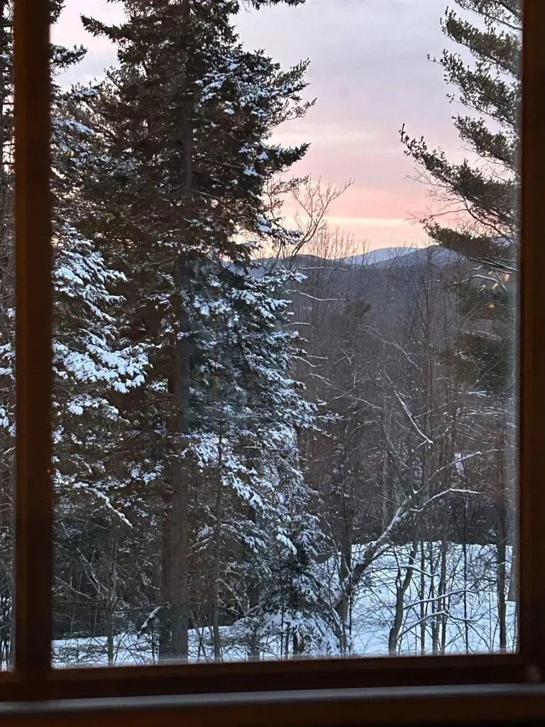 45 Sawmill Village Way Dover VT 05356