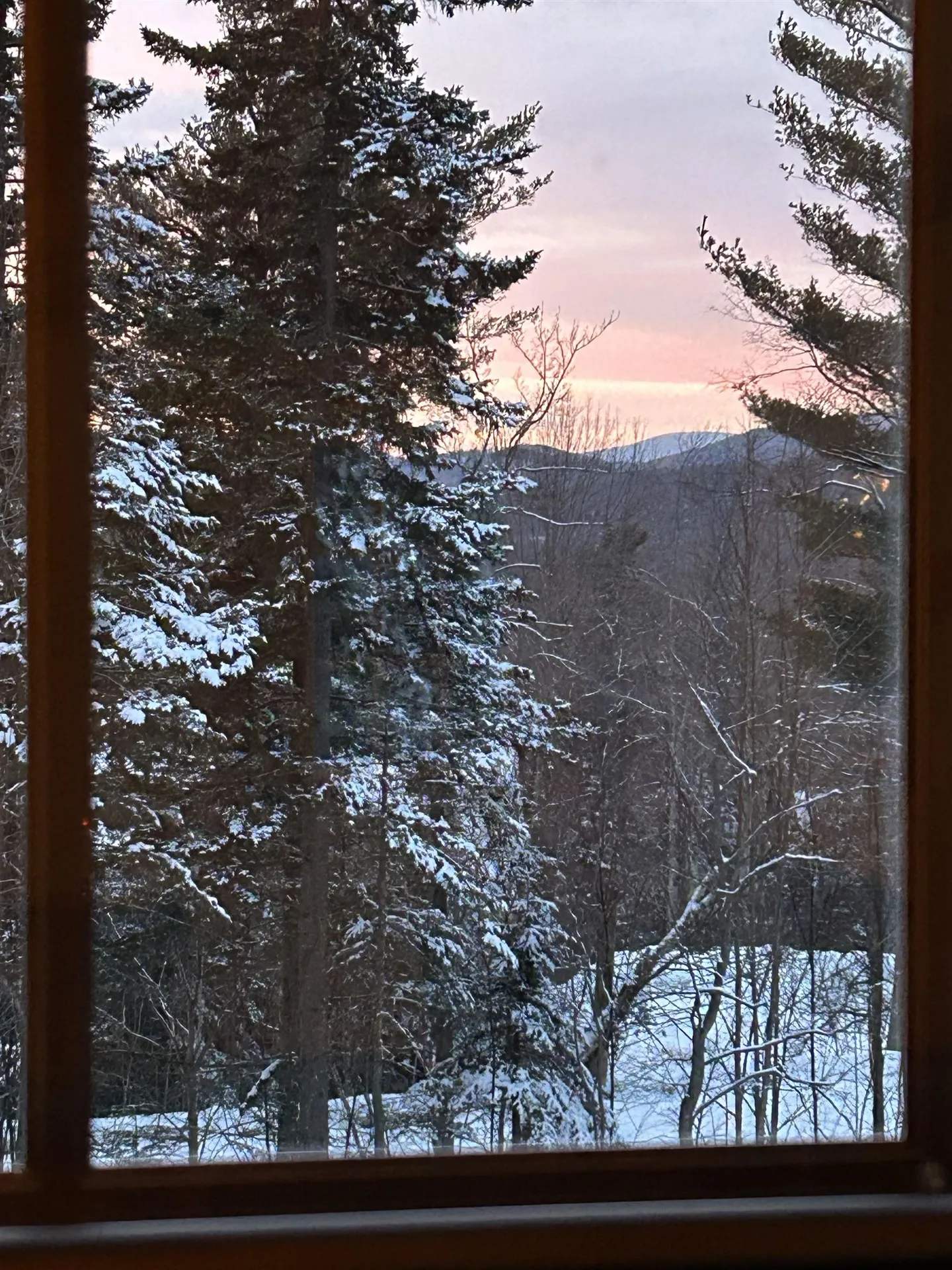45 Sawmill Village Way Dover VT 05356