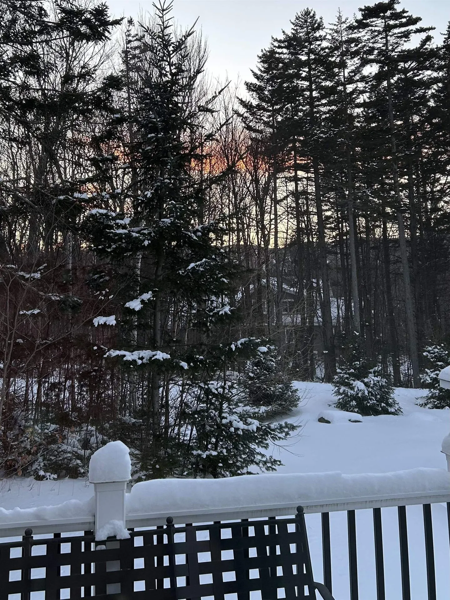 45 Sawmill Village Way Dover VT 05356