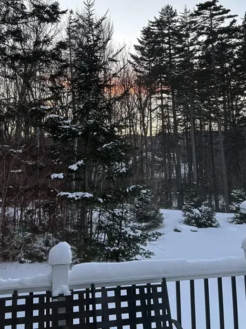 45 Sawmill Village Way Dover VT 05356