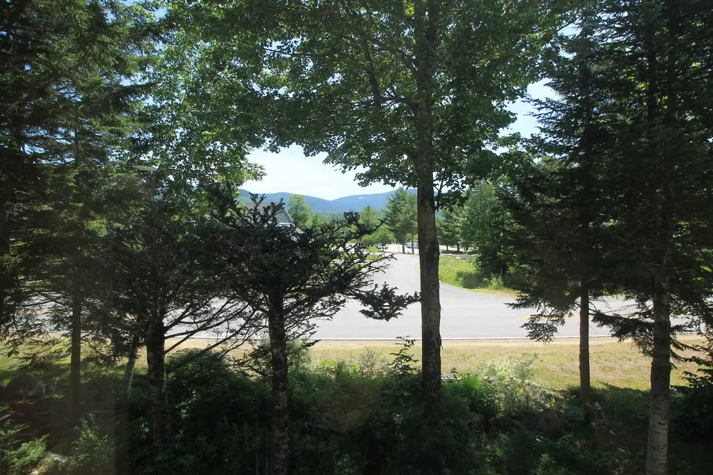 14 Tripyramid Way Waterville Valley NH 03215