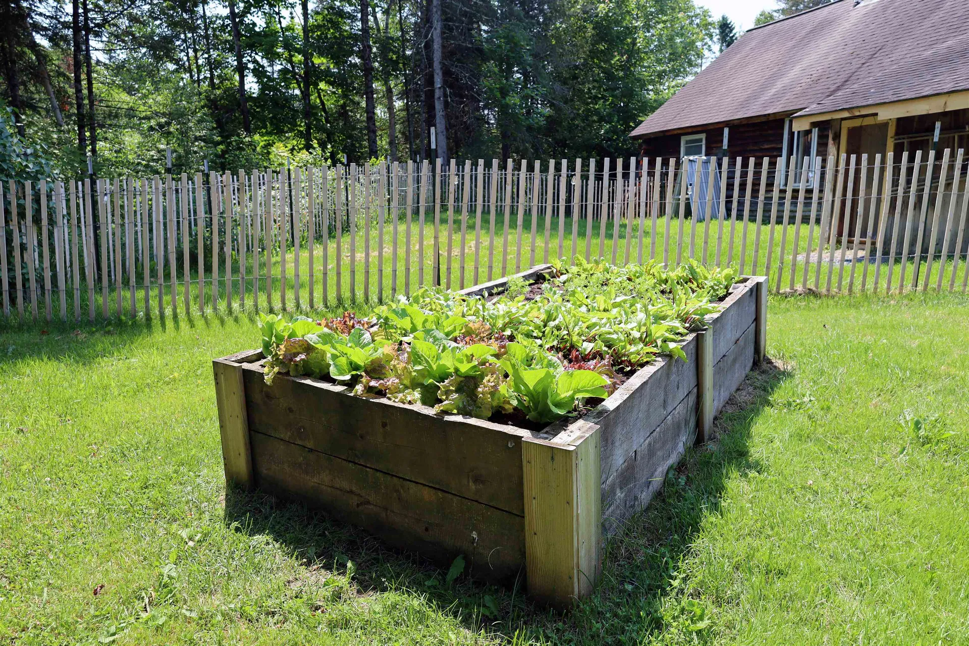 167 Isham Hill Road Danville VT 05873
