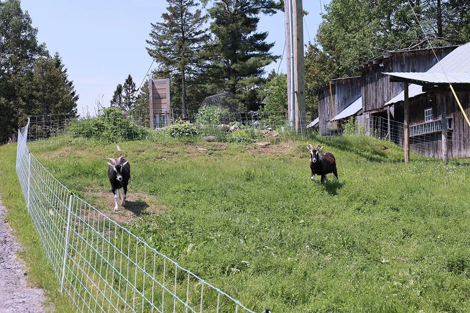 167 Isham Hill Road Danville VT 05873