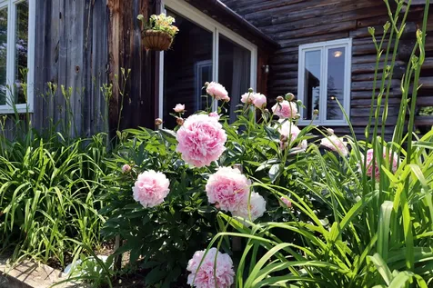 167 Isham Hill Road Danville VT 05873