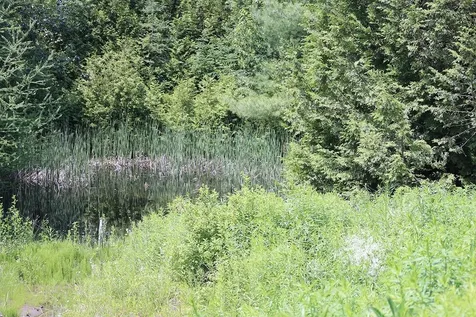 167 Isham Hill Road Danville VT 05873