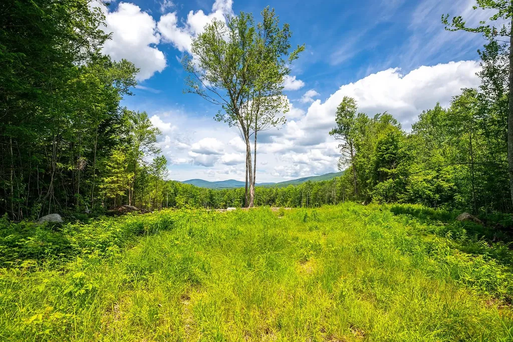 00 Little Pond Road Andover VT 05143
