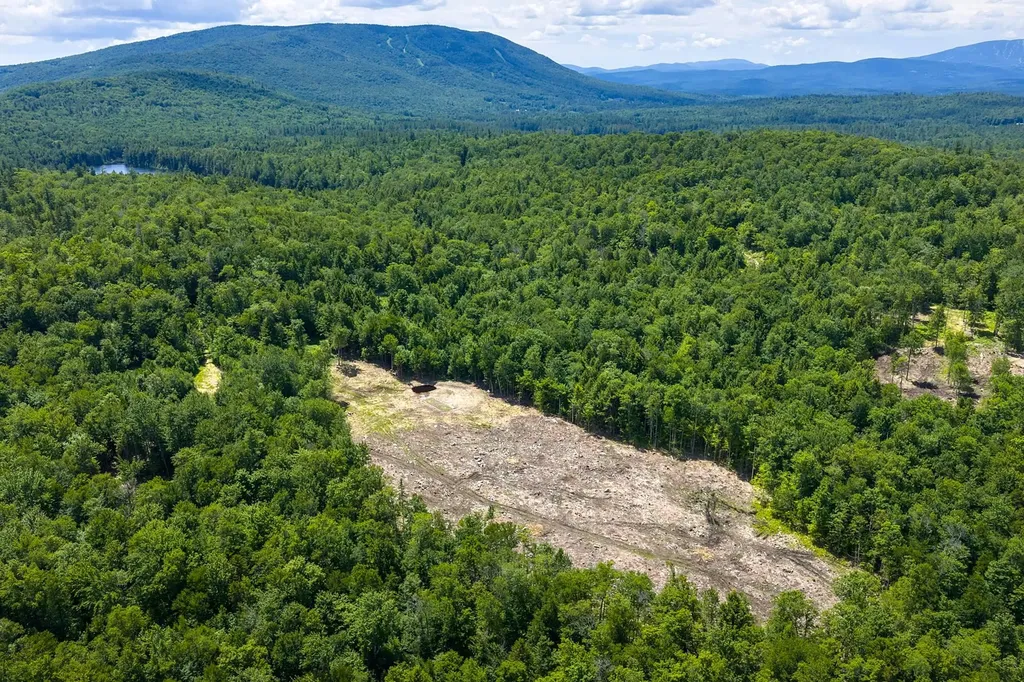 00 Little Pond Road Andover VT 05143