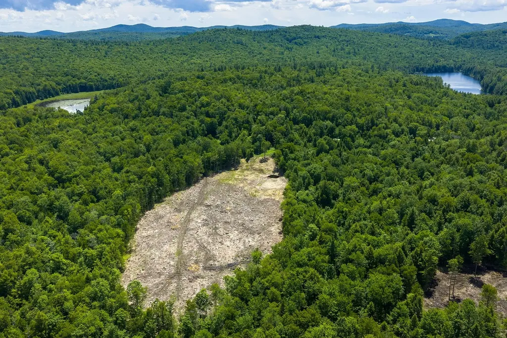 00 Little Pond Road Andover VT 05143