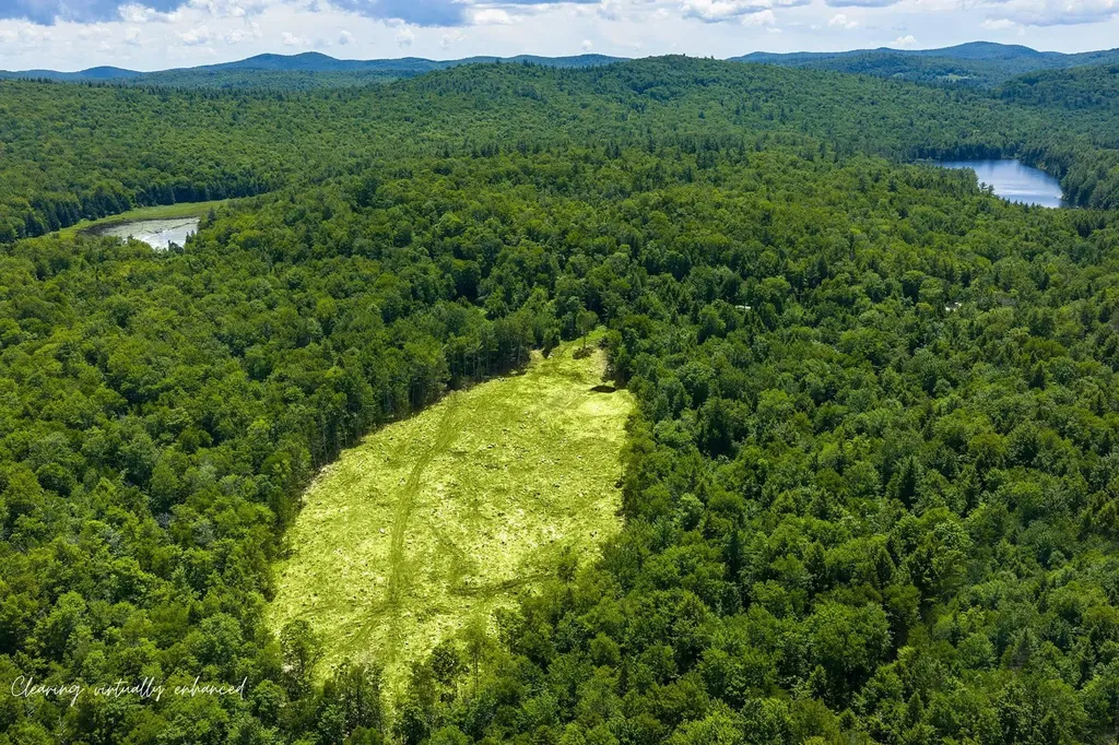 00 Little Pond Road Andover VT 05143