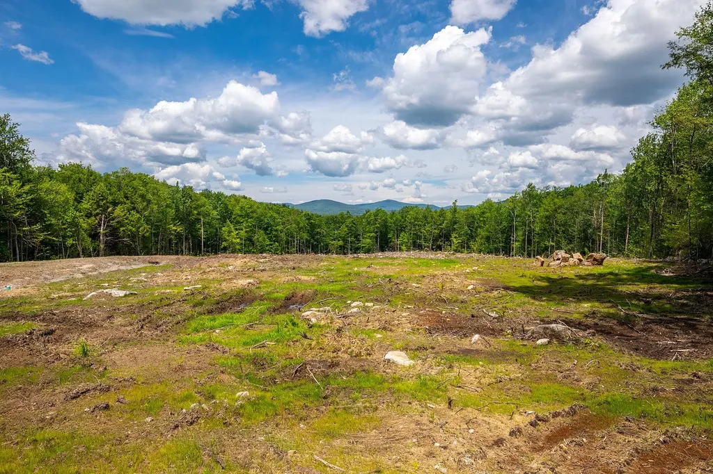 00 Little Pond Road Andover VT 05143