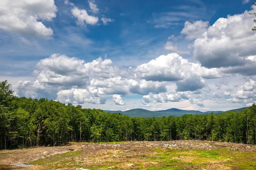00 Little Pond Road Andover VT 05143