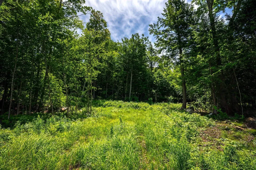 00 Little Pond Road Andover VT 05143