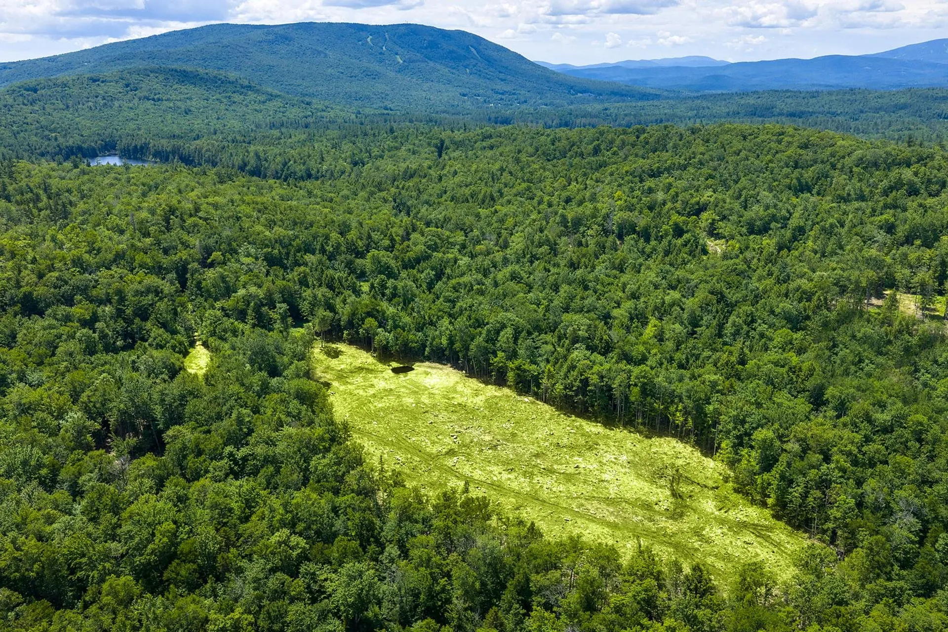 00 Little Pond Road Andover VT 05143
