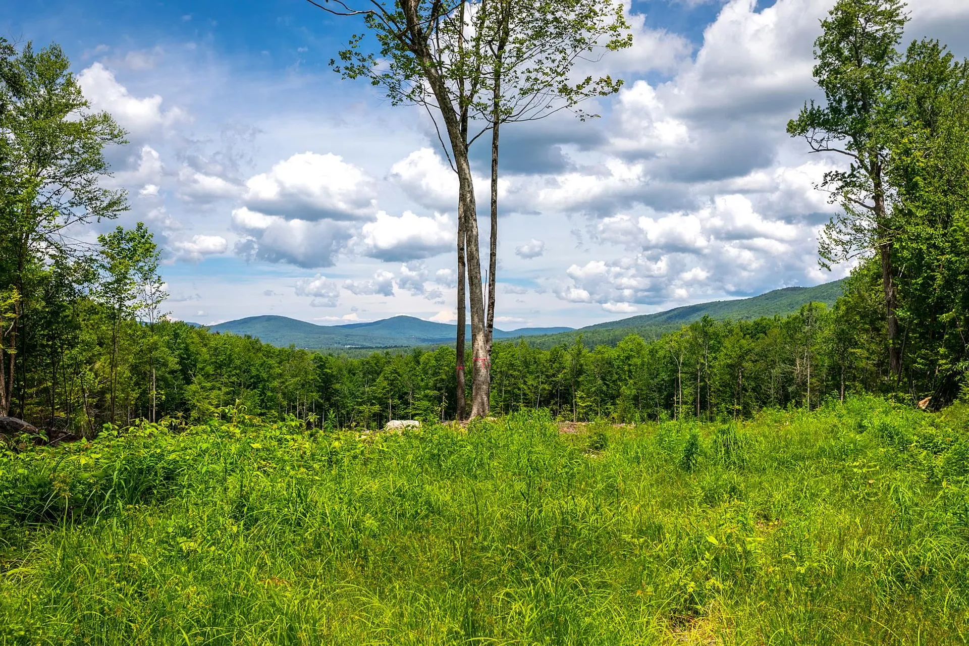 00 Little Pond Road Andover VT 05143
