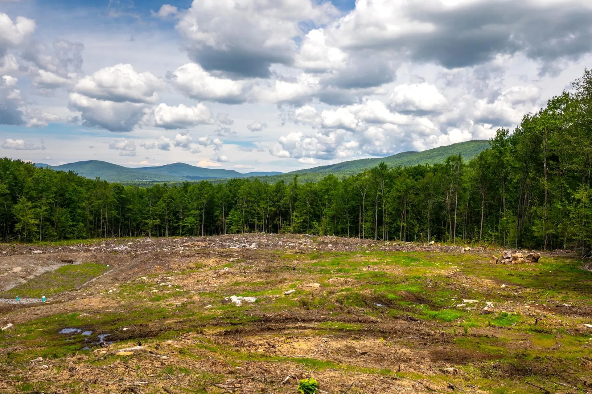 00 Little Pond Road Andover VT 05143