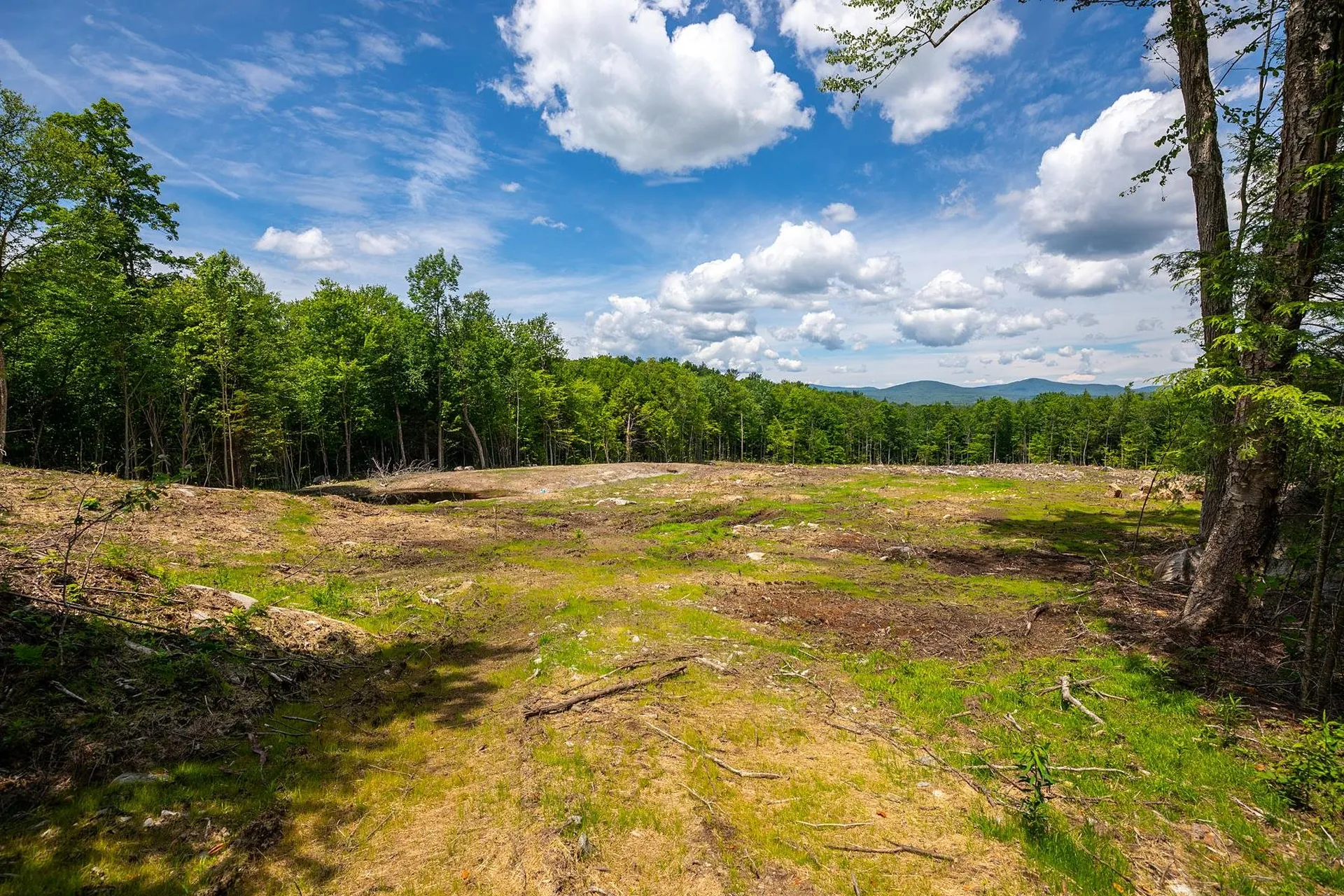 00 Little Pond Road Andover VT 05143