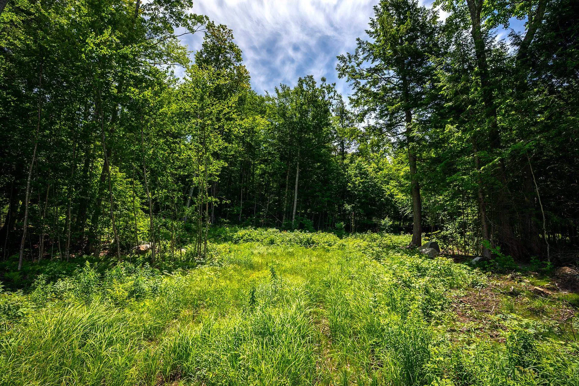 00 Little Pond Road Andover VT 05143