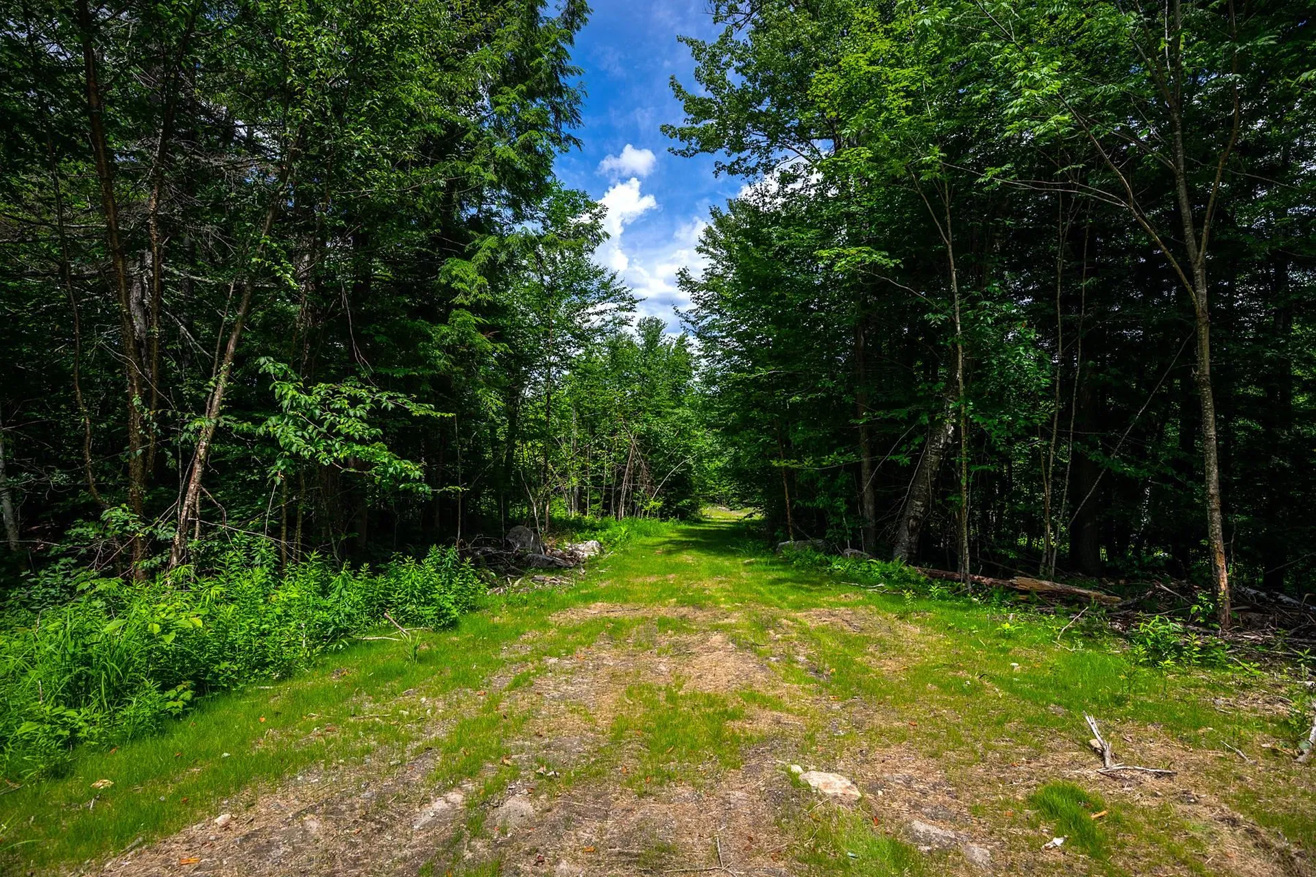00 Little Pond Road Andover VT 05143