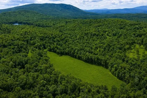 00 Little Pond Road Andover VT 05143