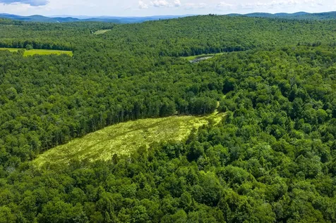 00 Little Pond Road Andover VT 05143