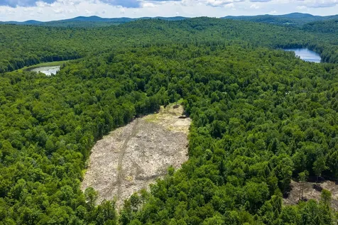 00 Little Pond Road Andover VT 05143