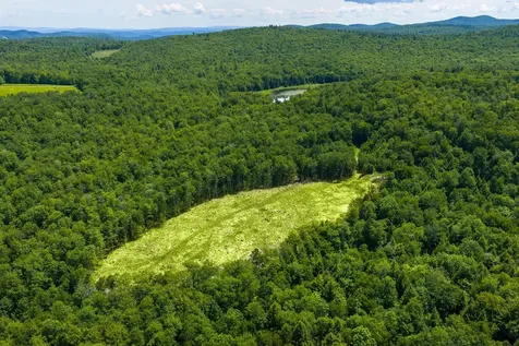 00 Little Pond Road Andover VT 05143