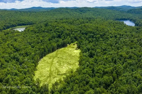 00 Little Pond Road Andover VT 05143