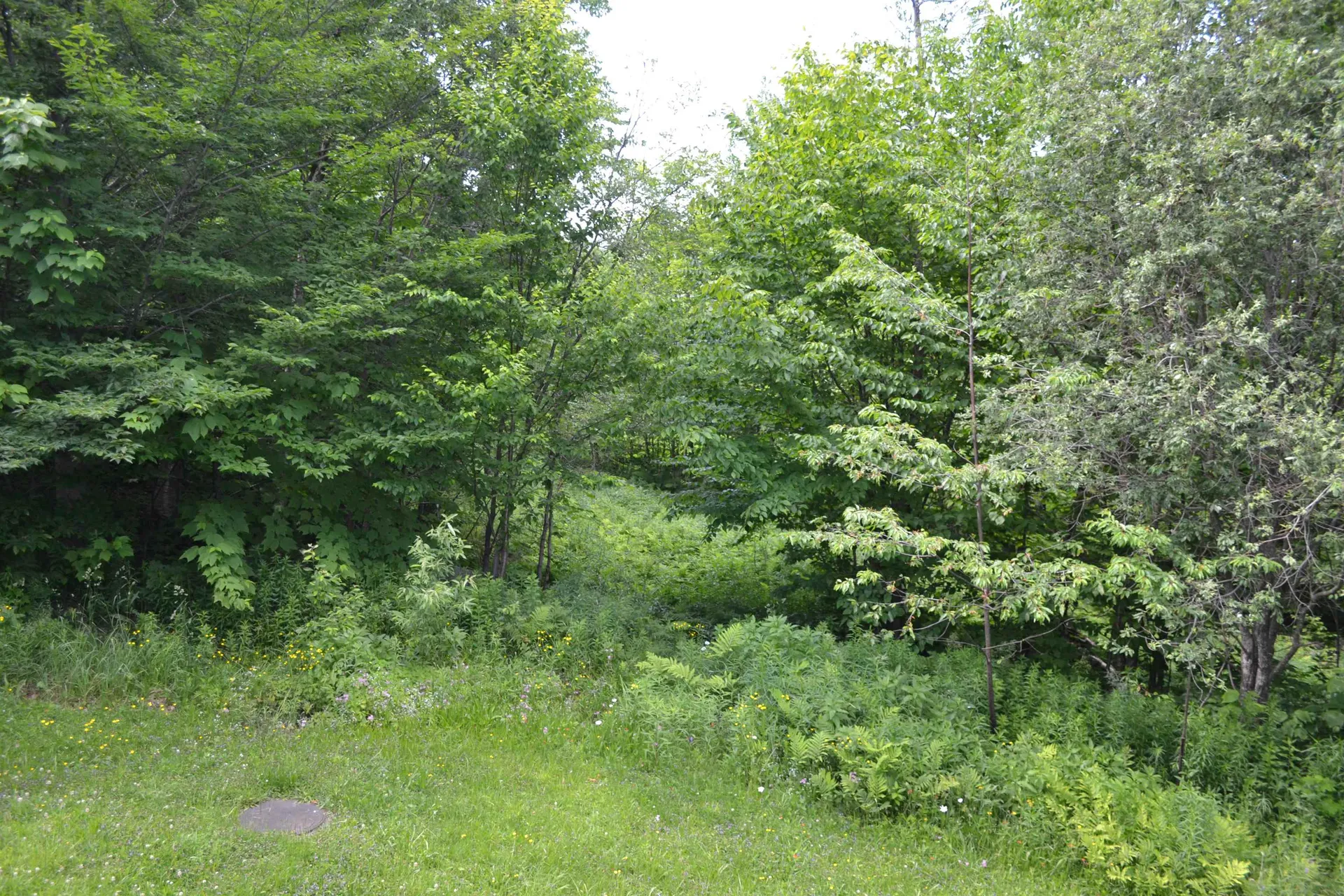 304 North Village Road Jay VT 05859