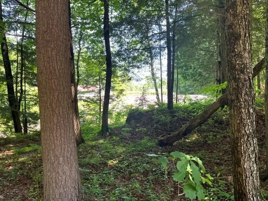 6 Country Grove Estates Rutland City VT 05701